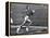 US Runner Wilma Rudolph at Olympics-Mark Kauffman-Framed Premier Image Canvas