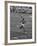 US Sprinter, Wilma Rudolph, Winning Women's 100 Meter Dash in Olympics-George Silk-Framed Premium Photographic Print