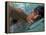 US Swimmer Mark Spitz Training for 1972 Munich Olympics-Co Rentmeester-Framed Premier Image Canvas