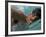 US Swimmer Mark Spitz Training for 1972 Munich Olympics-Co Rentmeester-Framed Premium Photographic Print