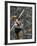 US Track Athlete William Schmidt Throwing Javelin at the Summer Olympics-John Dominis-Framed Premium Photographic Print