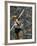 US Track Athlete William Schmidt Throwing Javelin at the Summer Olympics-John Dominis-Framed Premium Photographic Print