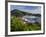 Us Virgin Islands, St, Thomas, Charlotte Amalie and Havensight Cruise Ship Dock, Caribbean-Gavin Hellier-Framed Photographic Print