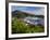 Us Virgin Islands, St, Thomas, Charlotte Amalie and Havensight Cruise Ship Dock, Caribbean-Gavin Hellier-Framed Photographic Print