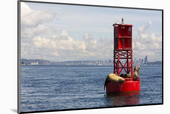 Us, Wa, Seattle. California Sea Lions Relax in Sun on Channel Marker Buoy-Trish Drury-Mounted Photographic Print