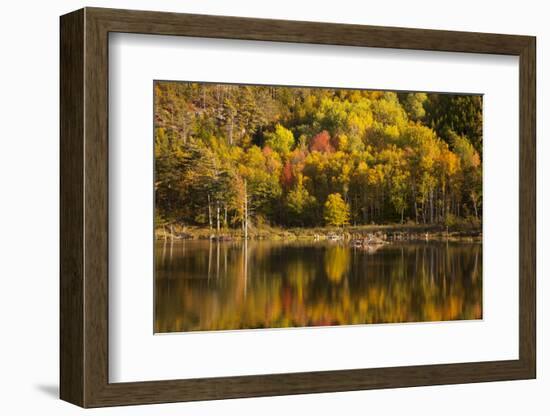 USA, Acadia National Park, Maine. Fall reflections at Bubble Pond.-Joanne Wells-Framed Photographic Print