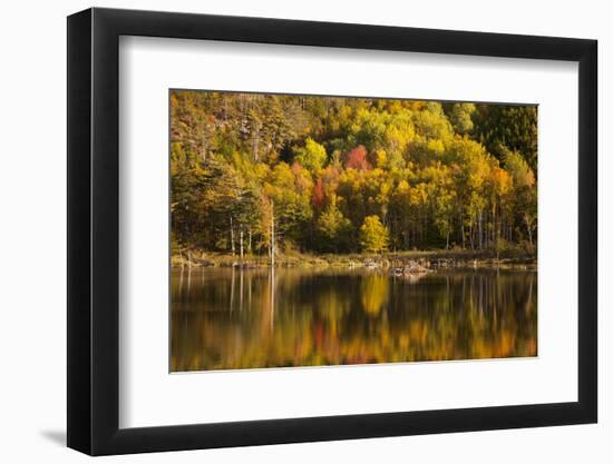 USA, Acadia National Park, Maine. Fall reflections at Bubble Pond.-Joanne Wells-Framed Photographic Print