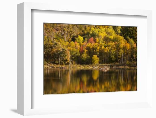 USA, Acadia National Park, Maine. Fall reflections at Bubble Pond.-Joanne Wells-Framed Photographic Print