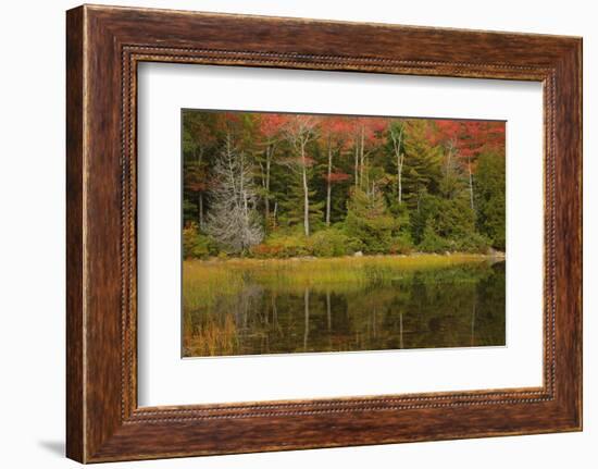 USA, Acadia National Park, Maine. Fall reflections at Bubble Pond.-Joanne Wells-Framed Photographic Print