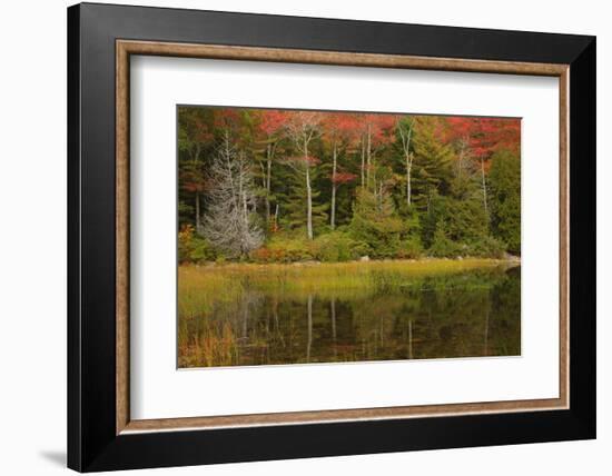 USA, Acadia National Park, Maine. Fall reflections at Bubble Pond.-Joanne Wells-Framed Photographic Print