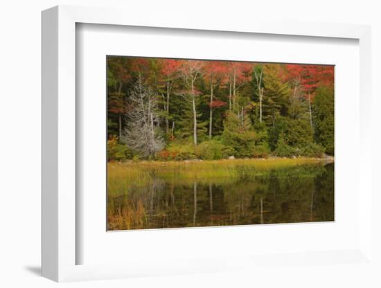 USA, Acadia National Park, Maine. Fall reflections at Bubble Pond.-Joanne Wells-Framed Photographic Print