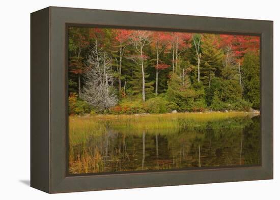 USA, Acadia National Park, Maine. Fall reflections at Bubble Pond.-Joanne Wells-Framed Premier Image Canvas