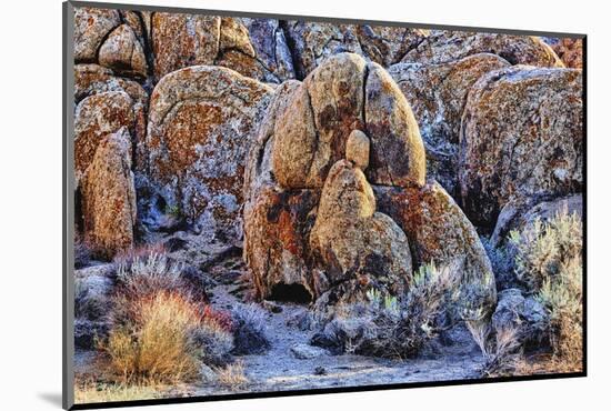 USA, Alabama Hills, California. Long Pine-Joe Restuccia III-Mounted Photographic Print