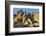 USA, Alabama Hills, California. Long Pine-Joe Restuccia III-Framed Photographic Print