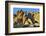 USA, Alabama Hills, California. Long Pine-Joe Restuccia III-Framed Photographic Print