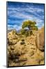 USA, Alabama Hills, California. Long Pine-Joe Restuccia III-Mounted Photographic Print