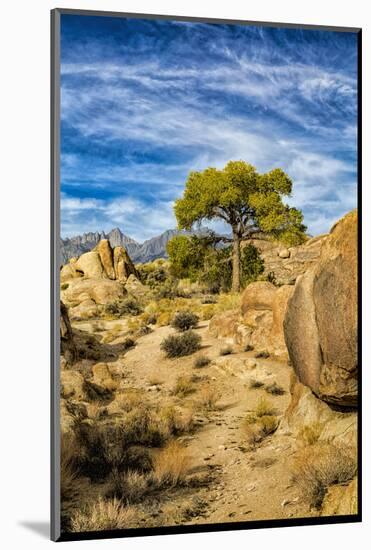 USA, Alabama Hills, California. Long Pine-Joe Restuccia III-Mounted Photographic Print