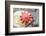 USA, Alaska. A red sun star on a clam shell at low tide.-Margaret Gaines-Framed Photographic Print