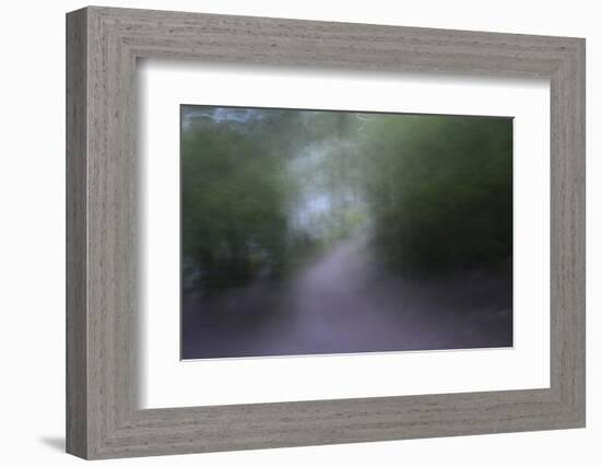 USA, Alaska, Abstract Pathway-Savanah Stewart-Framed Photographic Print