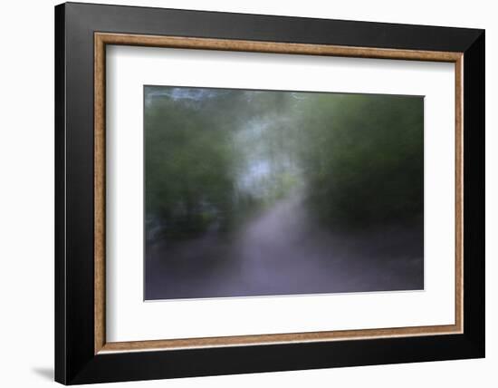 USA, Alaska, Abstract Pathway-Savanah Stewart-Framed Photographic Print