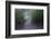 USA, Alaska, Abstract Pathway-Savanah Stewart-Framed Photographic Print