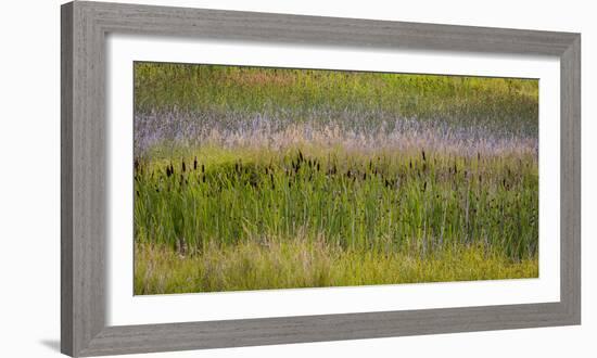 USA, Alaska, Anchorage. Scenic of Potter Marsh.-Jaynes Gallery-Framed Photographic Print