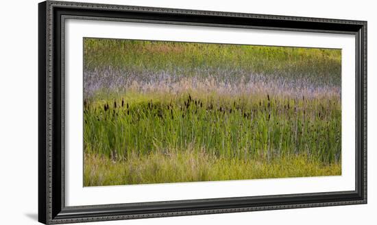 USA, Alaska, Anchorage. Scenic of Potter Marsh.-Jaynes Gallery-Framed Photographic Print