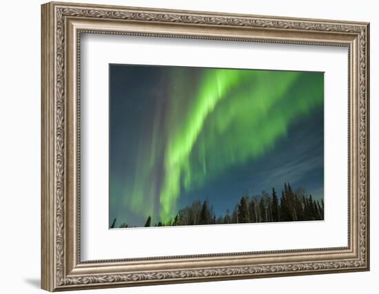 USA, Alaska. Aurora Borealis over Forest-Cathy & Gordon Illg-Framed Photographic Print