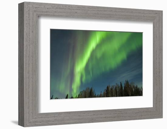 USA, Alaska. Aurora Borealis over Forest-Cathy & Gordon Illg-Framed Photographic Print
