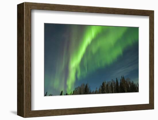 USA, Alaska. Aurora Borealis over Forest-Cathy & Gordon Illg-Framed Photographic Print