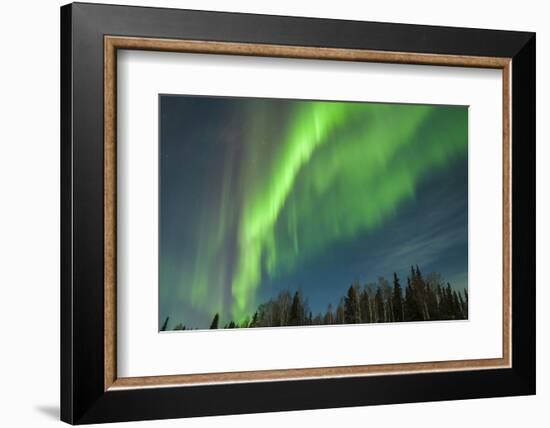 USA, Alaska. Aurora Borealis over Forest-Cathy & Gordon Illg-Framed Photographic Print