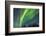 USA, Alaska. Aurora Borealis over Forest-Cathy & Gordon Illg-Framed Photographic Print