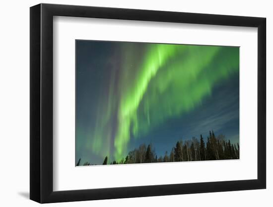 USA, Alaska. Aurora Borealis over Forest-Cathy & Gordon Illg-Framed Photographic Print