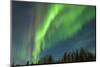USA, Alaska. Aurora Borealis over Forest-Cathy & Gordon Illg-Mounted Photographic Print