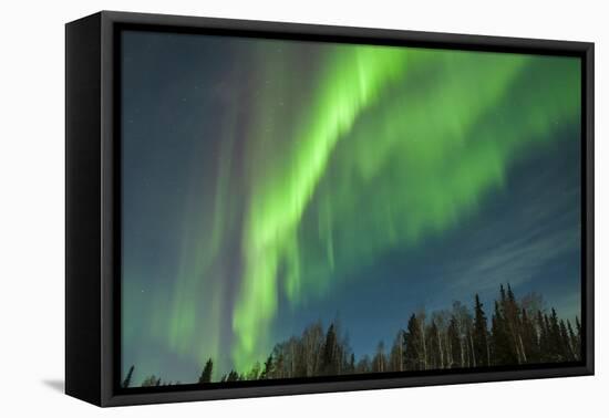 USA, Alaska. Aurora Borealis over Forest-Cathy & Gordon Illg-Framed Premier Image Canvas