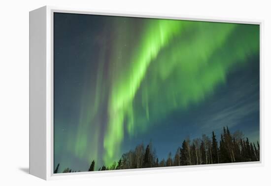 USA, Alaska. Aurora Borealis over Forest-Cathy & Gordon Illg-Framed Premier Image Canvas