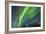 USA, Alaska. Aurora Borealis over Forest-Cathy & Gordon Illg-Framed Photographic Print