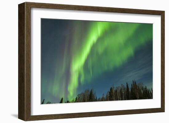 USA, Alaska. Aurora Borealis over Forest-Cathy & Gordon Illg-Framed Photographic Print