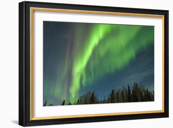 USA, Alaska. Aurora Borealis over Forest-Cathy & Gordon Illg-Framed Photographic Print