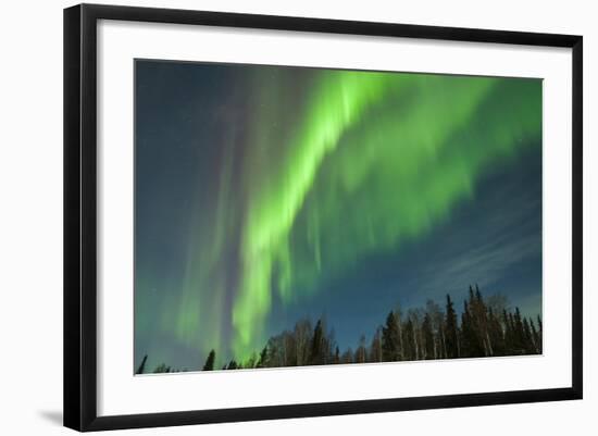 USA, Alaska. Aurora Borealis over Forest-Cathy & Gordon Illg-Framed Photographic Print