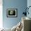 Usa, Alaska. Bald eagle (captive) poses for the camera.-Betty Sederquist-Framed Photographic Print displayed on a wall