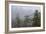 USA, Alaska. Bald eagles congregate in trees during-Margaret Gaines-Framed Photographic Print