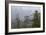 USA, Alaska. Bald eagles congregate in trees during-Margaret Gaines-Framed Photographic Print