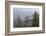 USA, Alaska. Bald eagles congregate in trees during-Margaret Gaines-Framed Photographic Print