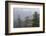 USA, Alaska. Bald eagles congregate in trees during-Margaret Gaines-Framed Photographic Print