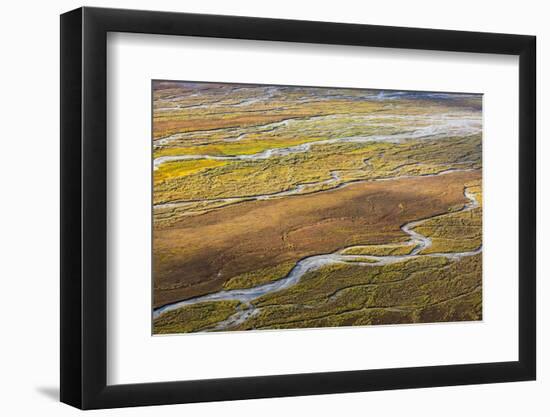 USA, Alaska, Brooks Range, Arctic NWR. Aerial of braided river and tundra.-Jaynes Gallery-Framed Photographic Print