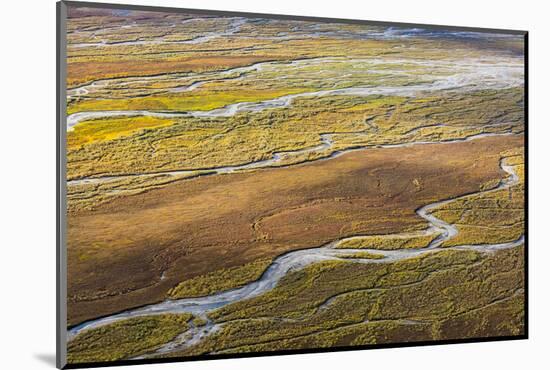 USA, Alaska, Brooks Range, Arctic NWR. Aerial of braided river and tundra.-Jaynes Gallery-Mounted Photographic Print