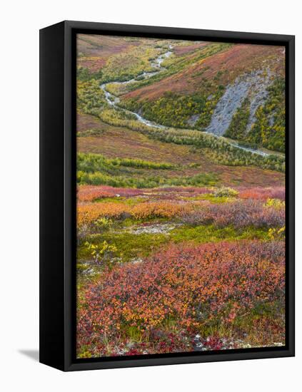 USA, Alaska, Brooks Range. Tundra and Dietrich River.-Jaynes Gallery-Framed Premier Image Canvas