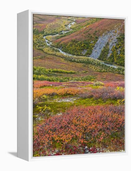 USA, Alaska, Brooks Range. Tundra and Dietrich River.-Jaynes Gallery-Framed Premier Image Canvas