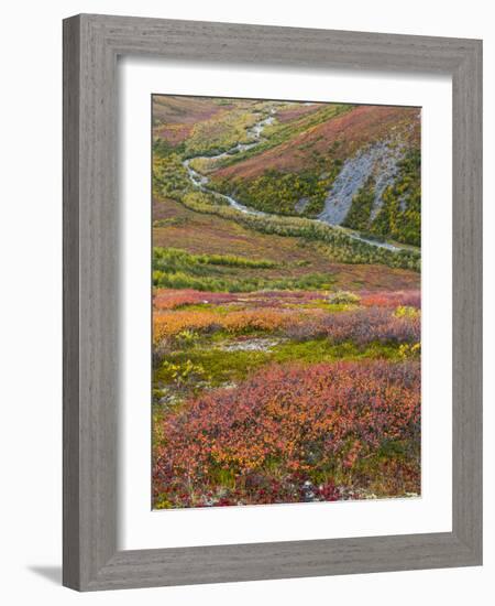 USA, Alaska, Brooks Range. Tundra and Dietrich River.-Jaynes Gallery-Framed Photographic Print